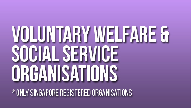 Voluntary Welfare and Social Service Organisations